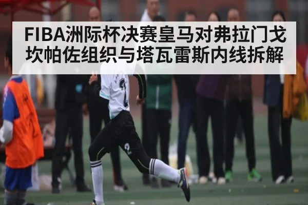 FIBA洲际杯决赛皇马对弗拉门戈 坎帕佐组织与塔瓦雷斯内线拆解(NG28)